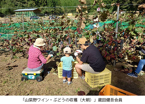 「山紫野ワイン・ぶどうの収穫（大朝）」蔵田健吾会員
